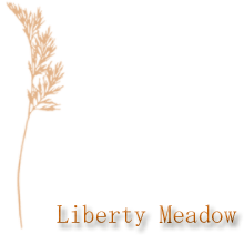 【LIBERTY Meadow】リバティ メドゥ マキシ キャミソール ワンピース ドレス